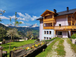 Freines Valle Di Cadore